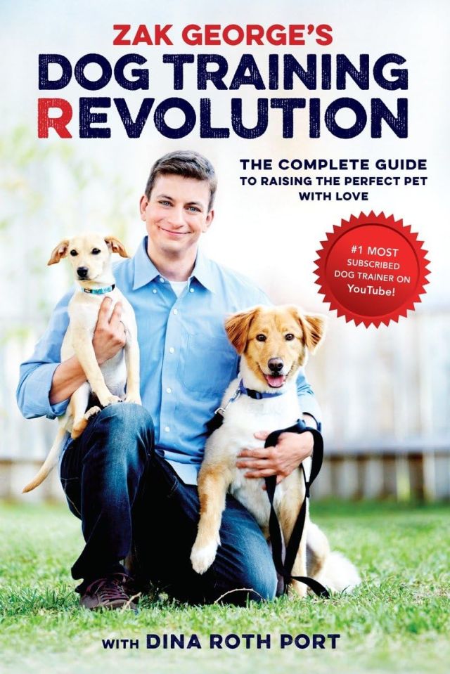 What's the Secret Behind Zak George's Revolutionary Dog Training?